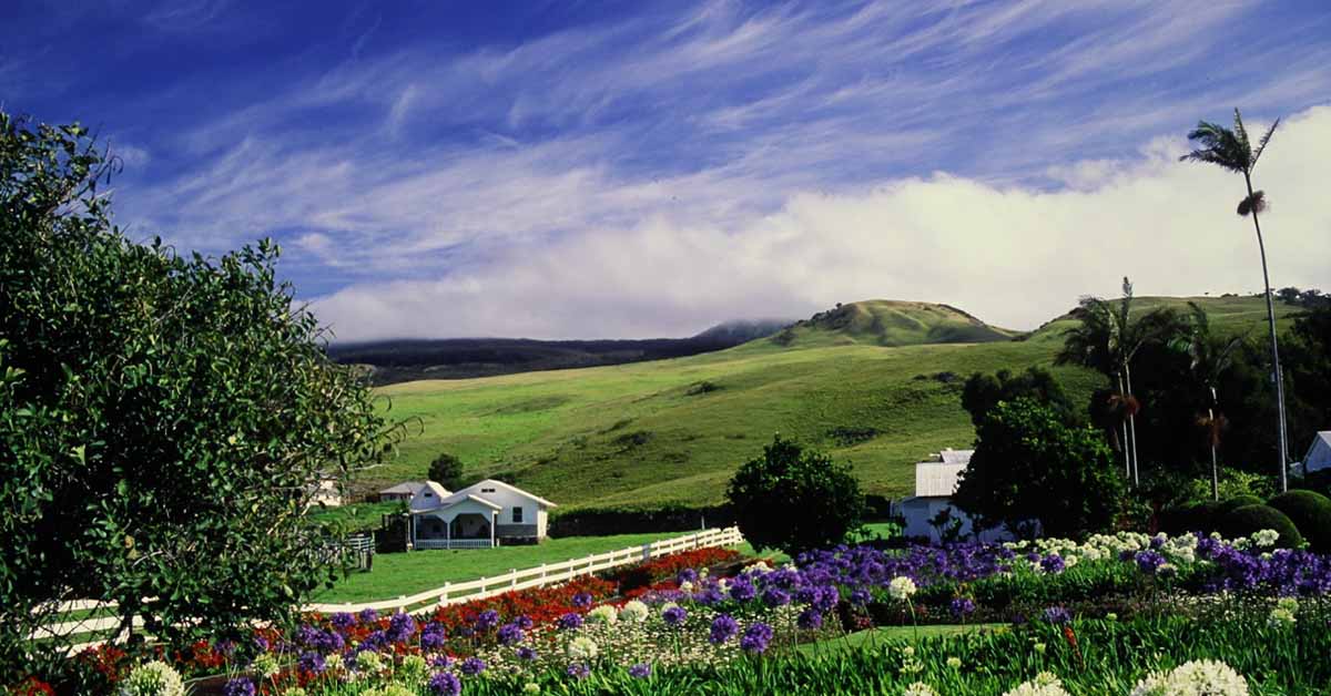 Two Sides to the Story of Waimea