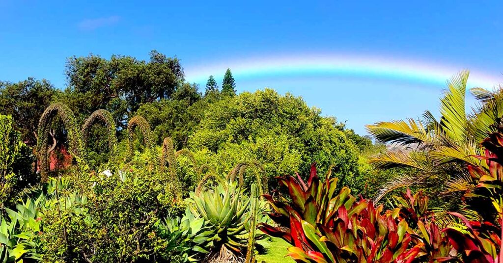 Under the Waimea Rainbows - Hawaii Pacific Brokers