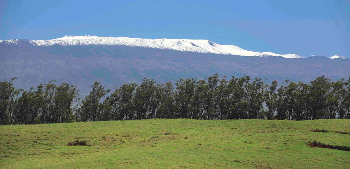 Mauna Kea with Tradewind Treeline