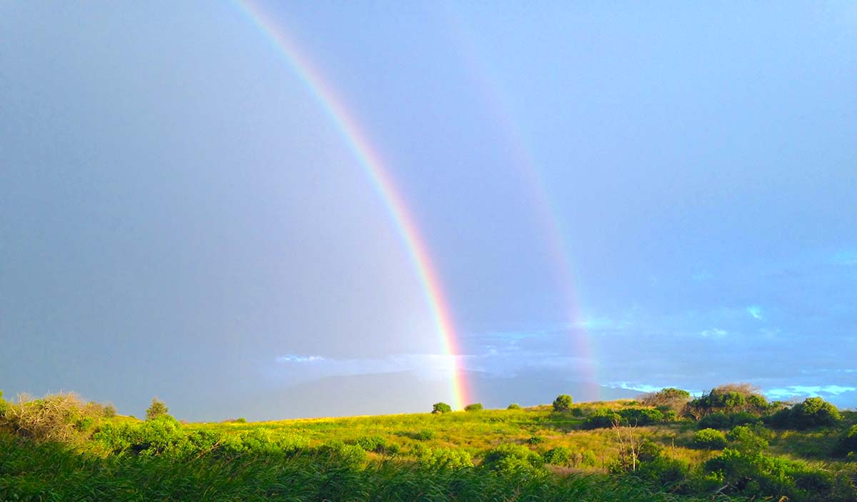 waimea double rainbow