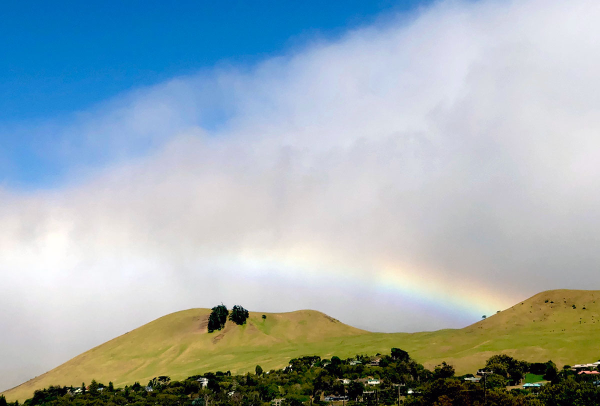 waimea fog rainbow